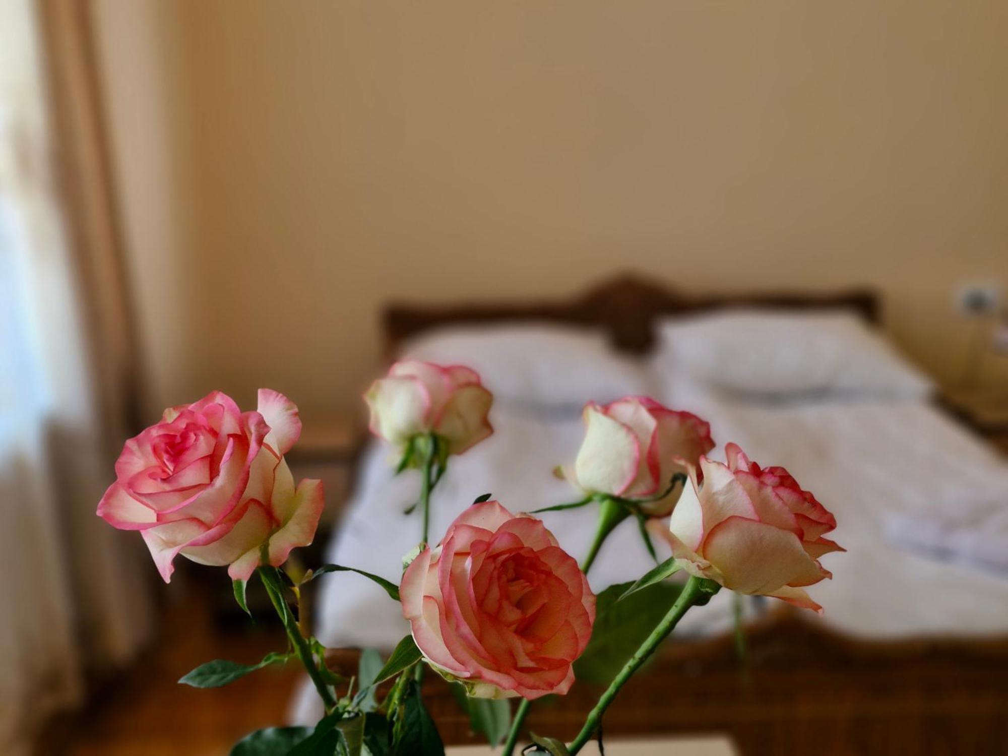 Guest House David's B&B Gyumri Extérieur photo
