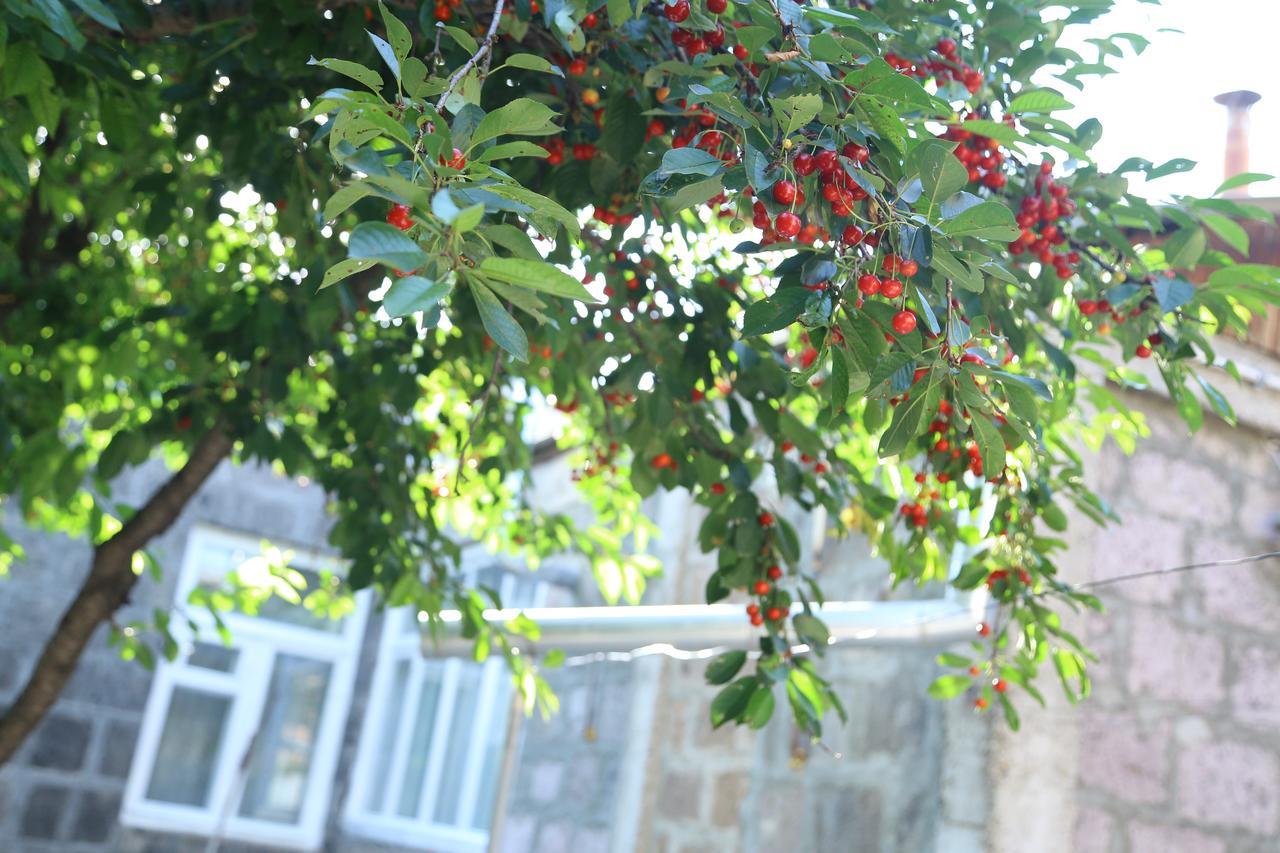 Guest House David's B&B Gyumri Extérieur photo